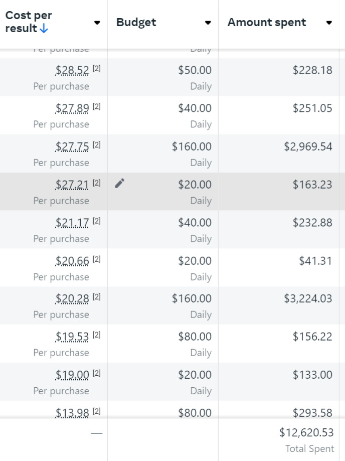 Meta Ads Manager purchase campaigns: $12,620.53 spent, cost per purchase from $13.98 to $28.52